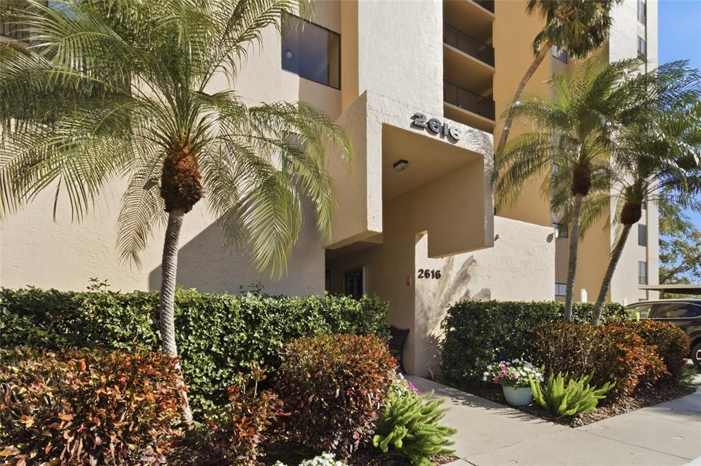 The exterior of a multi-story apartment building features a covered entrance with palm trees — 2616 COVE CAY DRIVE UNIT 502, CLEARWATER, FL