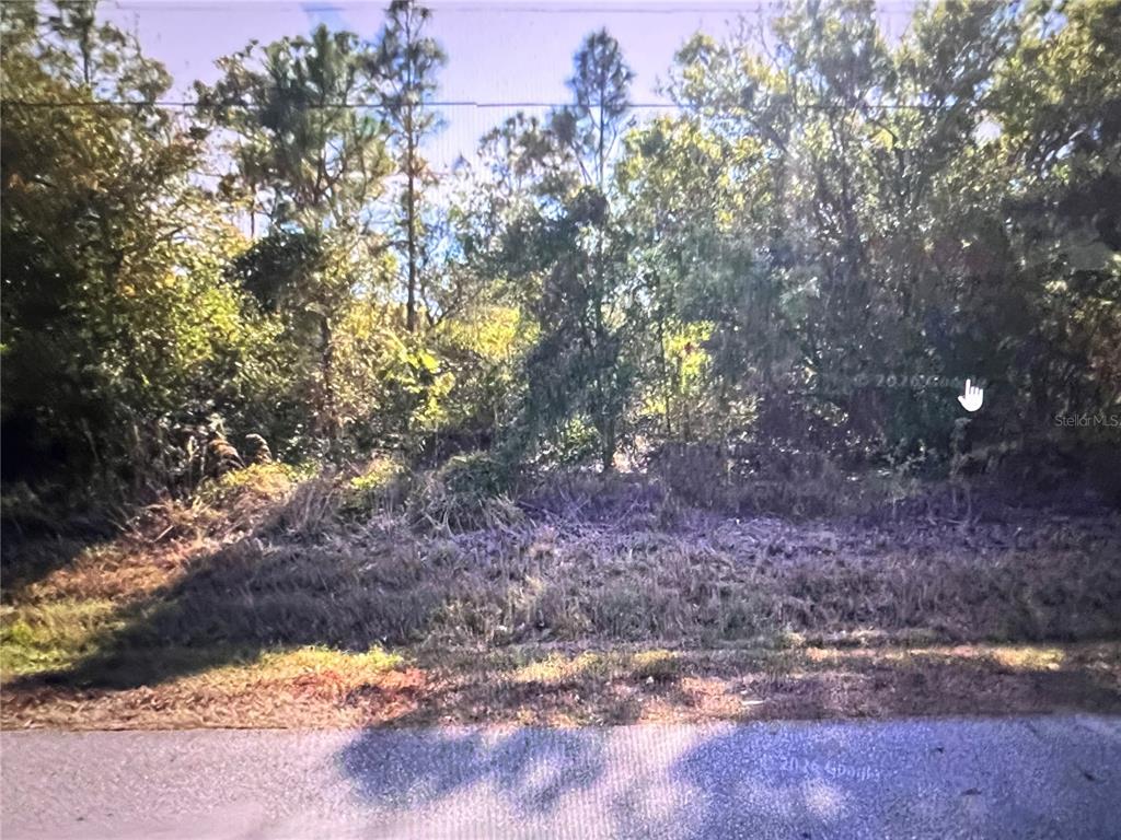 A vacant, wooded lot is viewed from the adjacent paved road — 11491 2ND AVENUE, PUNTA GORDA, FL