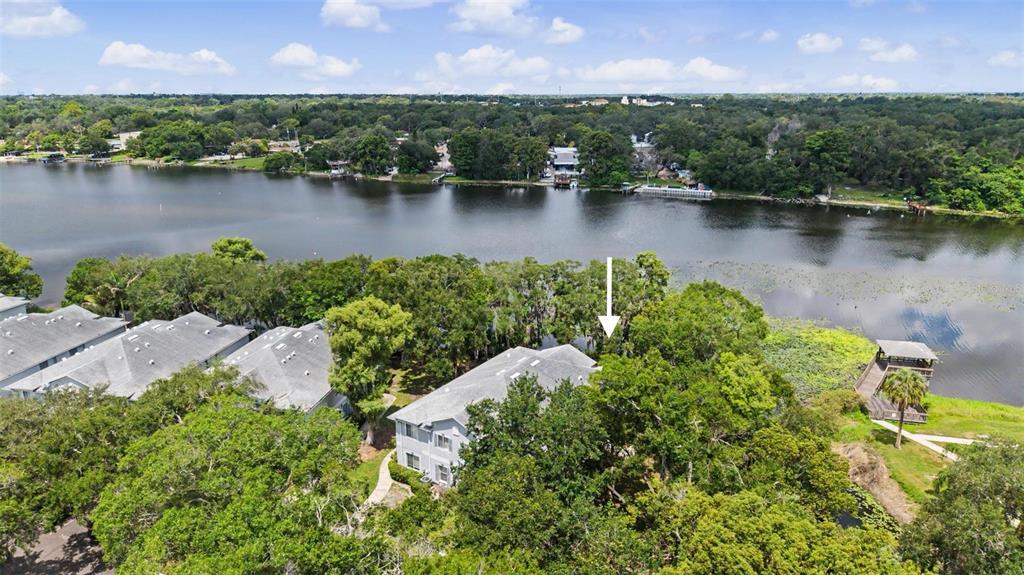 An aerial view shows a multi-story residential building surrounded by trees near a lake — 7434 E BANK DRIVE, TAMPA, FL