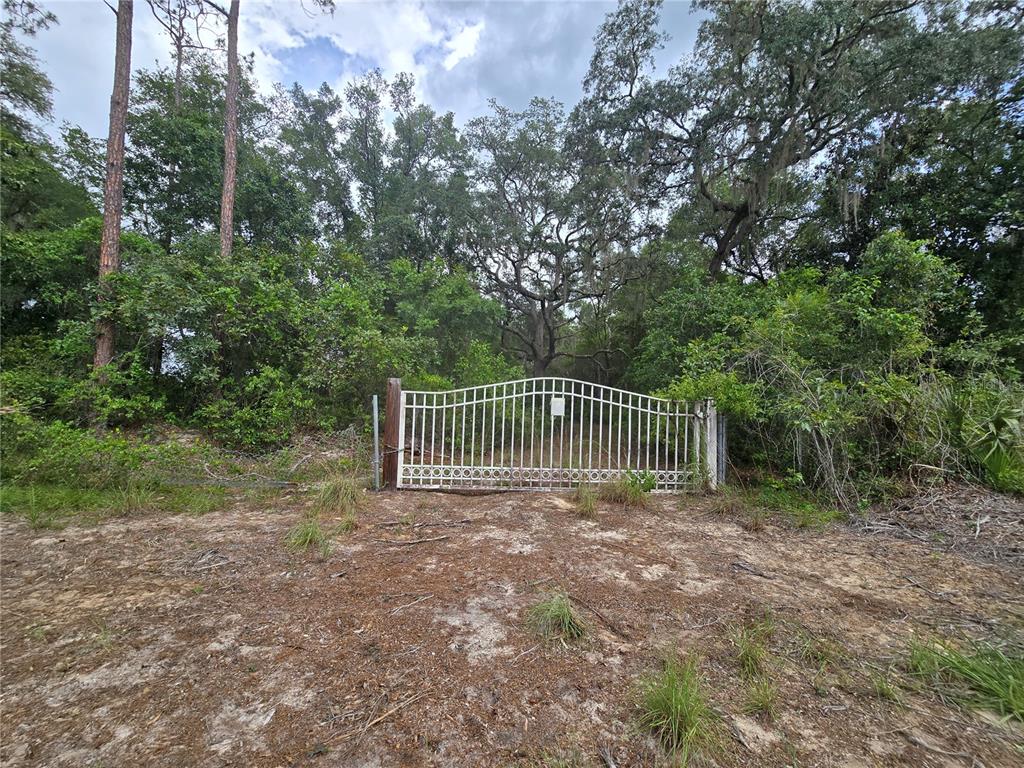A white metal gate stands at the entrance of a wooded, sandy lot — 18545 SE 115TH STREET, OCKLAWAHA, FL