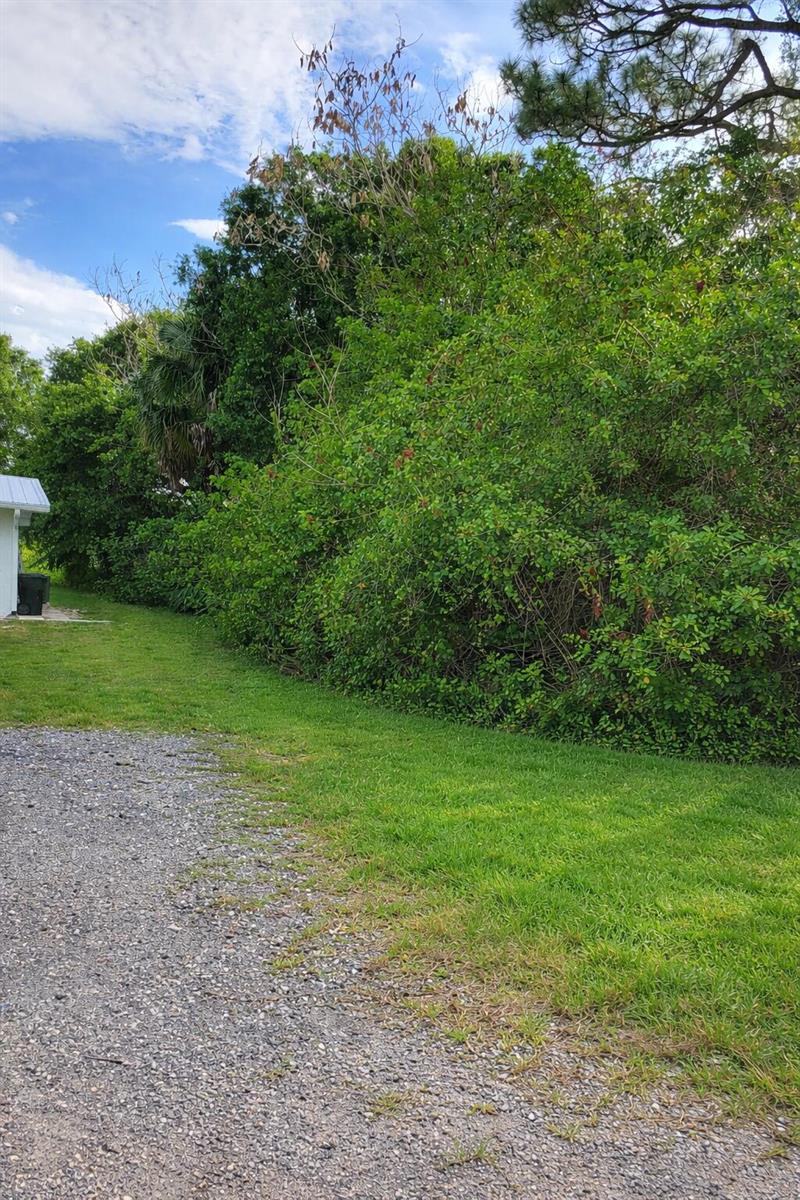 A gravel driveway leads to a grassy yard bordered by a dense line of trees — 0 Jacobs Road, Fort Pierce FL 34982, FORT PIERCE, FL