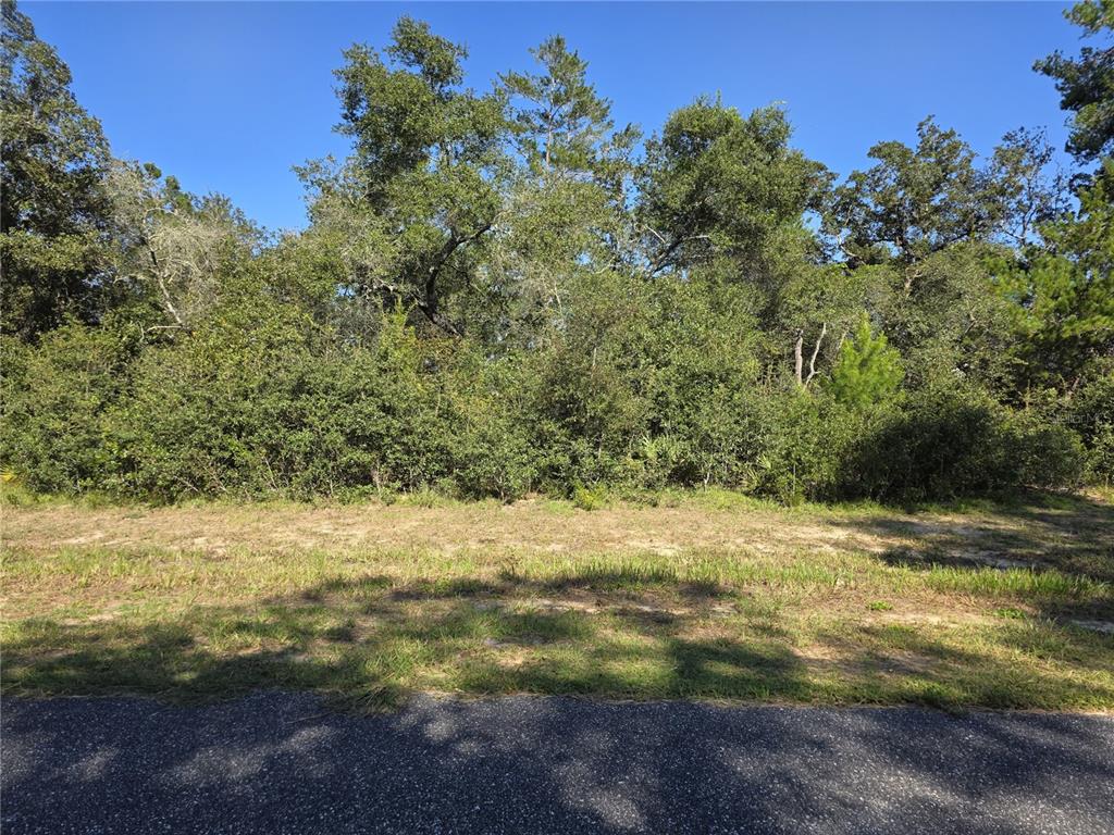 A view of a vacant, wooded lot bordered by a paved road — 0 SW 21 LANE, OCALA, FL