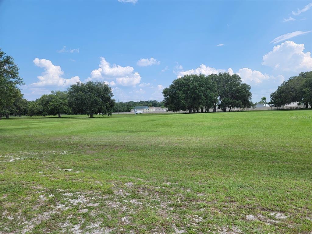 A large, flat, grassy field with scattered trees under a blue sky — 39735 CHANCEY ROAD, ZEPHYRHILLS, FL