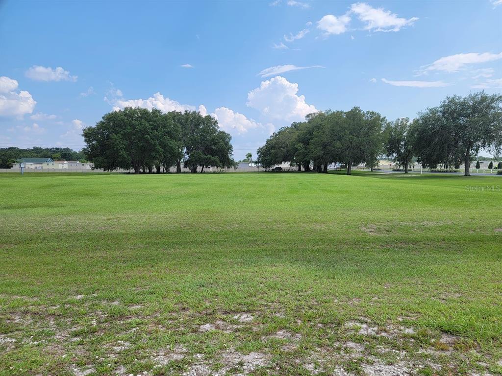 A large, flat, grassy lot features scattered mature trees under a bright blue sky — 39735 CHANCEY ROAD, ZEPHYRHILLS, FL