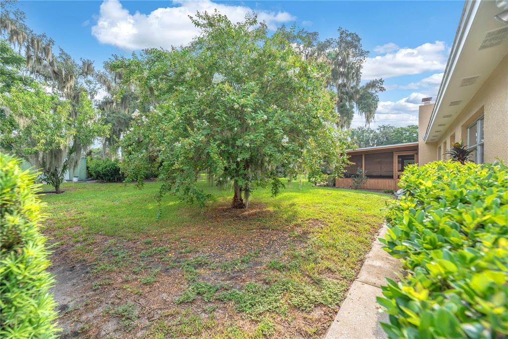 A grassy backyard features a large central tree, Spanish moss, and a screened-in patio area — 110 ASHBROOK DRIVE, BRANDON, FL