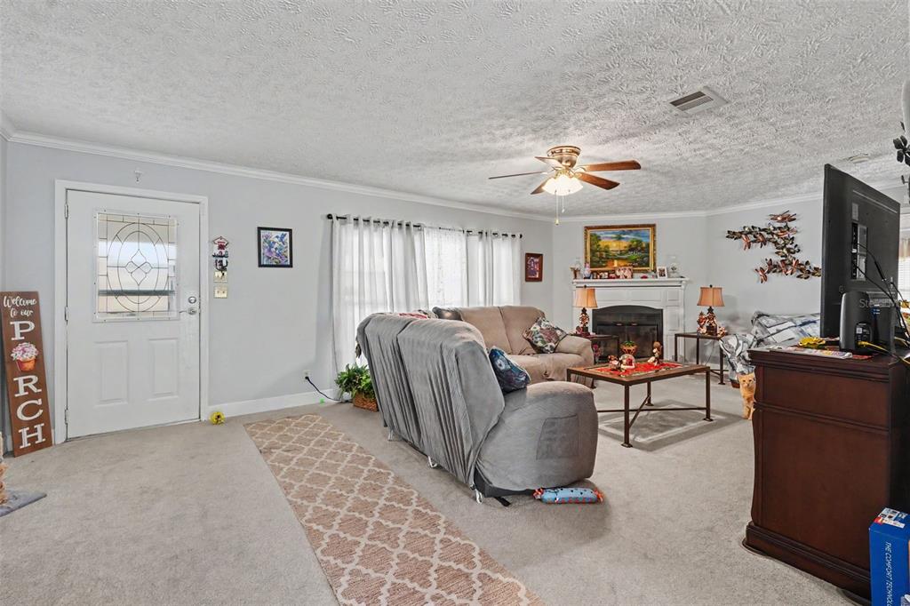 A living room features a fireplace, ceiling fan, carpeted floors, and a front door — 8043 TOWER STREET, BROOKSVILLE, FL