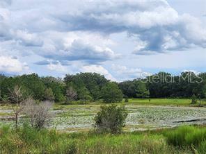 ORANGE RD, OCKLAWAHA, FL — photo 2 of 5