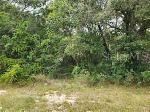 ORANGE RD, OCKLAWAHA, FL — photo 3 of 5
