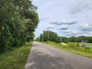 ORANGE RD, OCKLAWAHA, FL — photo 4 of 5