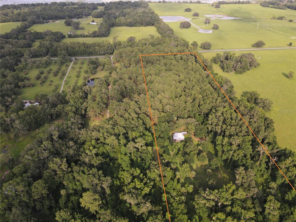 15208 SW WILLISTON RD, MICANOPY, FL — photo 2 of 30