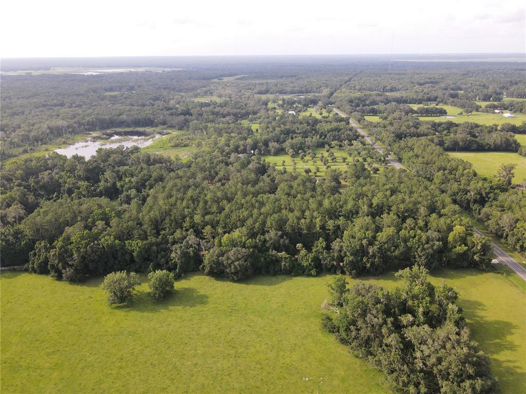 15208 SW WILLISTON RD, MICANOPY, FL — photo 3 of 30
