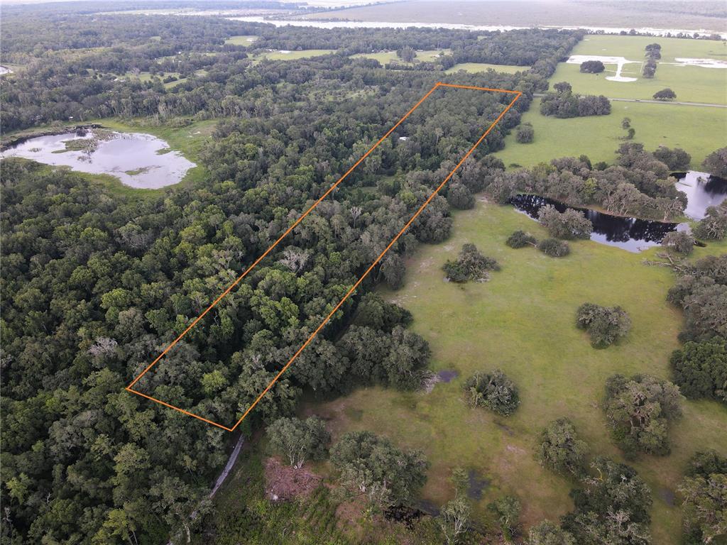 15208 SW WILLISTON RD, MICANOPY, FL — photo 4 of 30
