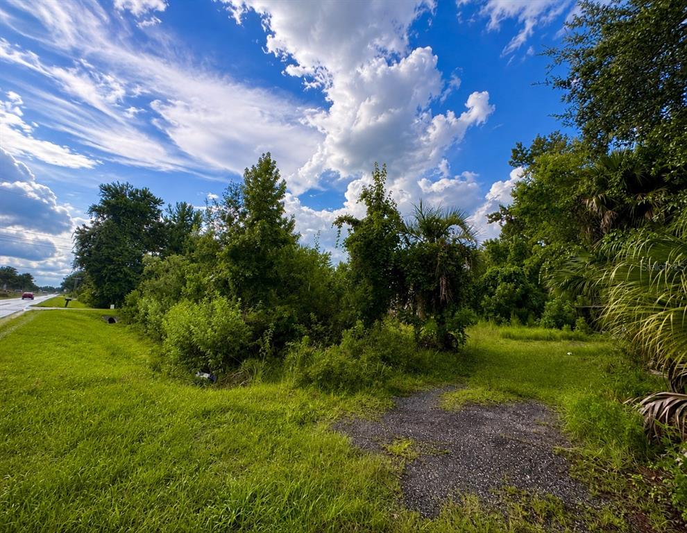 A grassy, overgrown vacant lot sits next to a road under a bright, cloudy sky — 12002 HIGHWAY 441 S, MICANOPY, FL