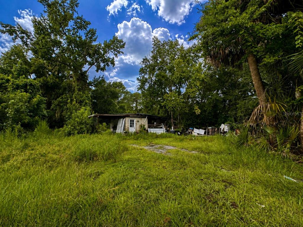 A small, weathered structure sits in a grassy field surrounded by dense trees and foliage — 12002 HIGHWAY 441 S, MICANOPY, FL