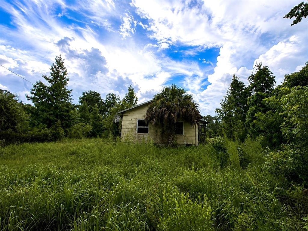 A weathered, light-colored house sits in a field of tall grass under a cloudy sky — 12002 HIGHWAY 441 S, MICANOPY, FL
