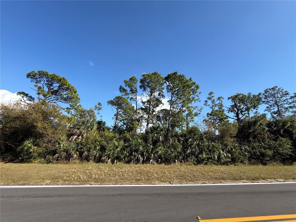 A paved road runs in front of a wooded lot with tall pine trees — 9065 WILLMINGTON BOULEVARD, ENGLEWOOD, FL