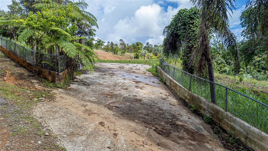 A concrete driveway leads toward a grassy area enclosed by chain-link fencing and lush vegetation — NARANJO WARD INT. PR 984, FAJARDO, PR