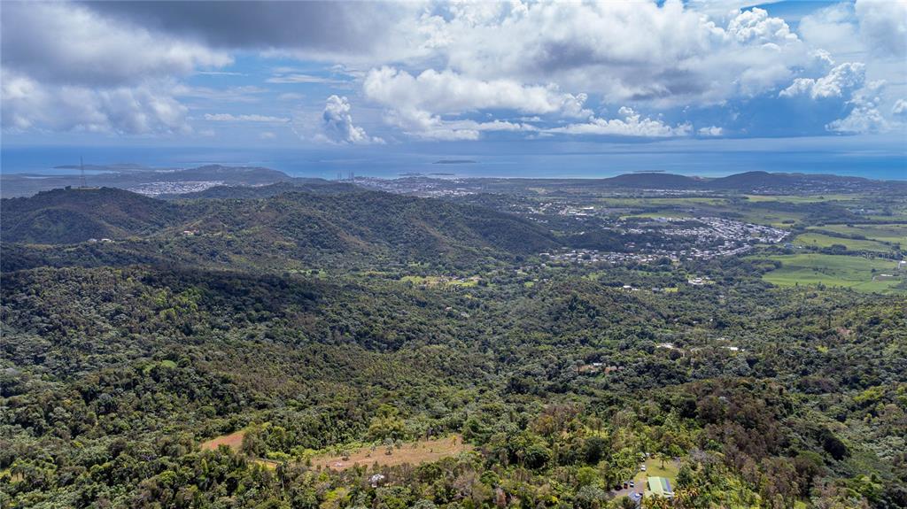 An aerial view shows a dense, forested landscape with a distant town and the ocean — NARANJO WARD INT. PR 984, FAJARDO, PR