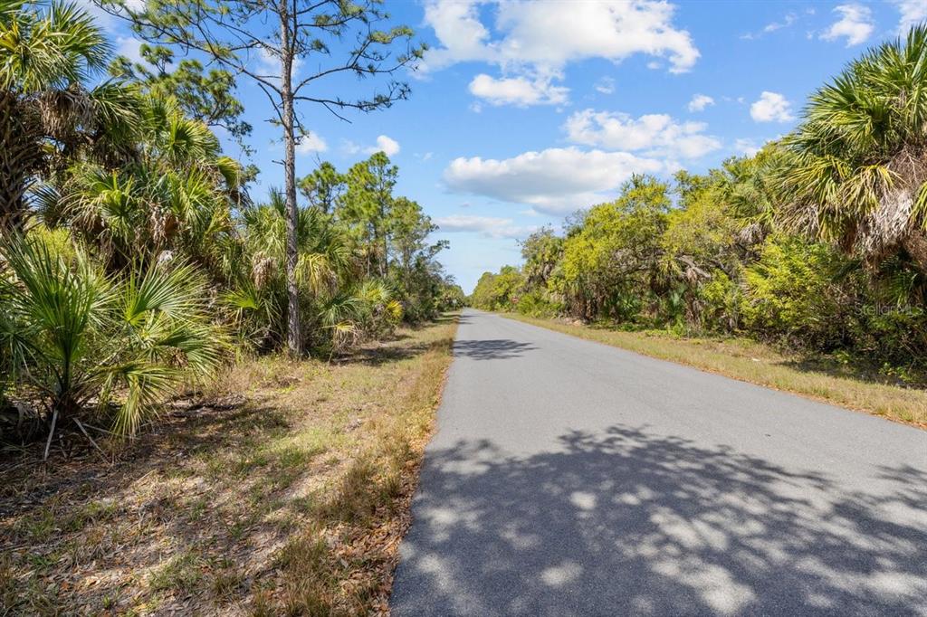 A paved road stretches through a rural landscape lined with palm trees and dense vegetation — 18047 SAVAGE AVENUE, PORT CHARLOTTE, FL