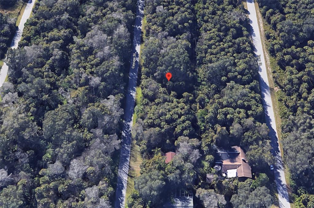 An aerial view shows a wooded, undeveloped lot marked with a red pin between two streets — 187 CAYUGA STREET, PORT CHARLOTTE, FL