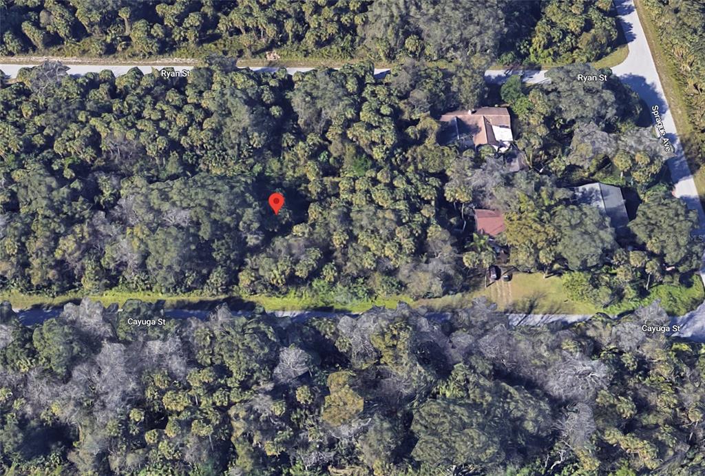This is an aerial map view of a wooded lot marked with a red pin — 187 CAYUGA STREET, PORT CHARLOTTE, FL