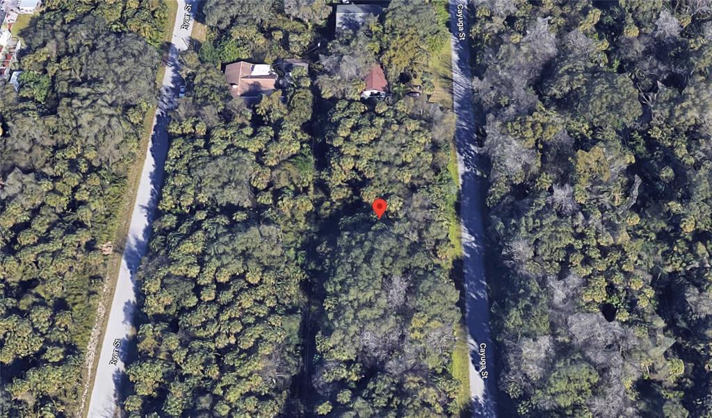 This is an aerial map view of a wooded, undeveloped lot between two residential streets — 187 CAYUGA STREET, PORT CHARLOTTE, FL