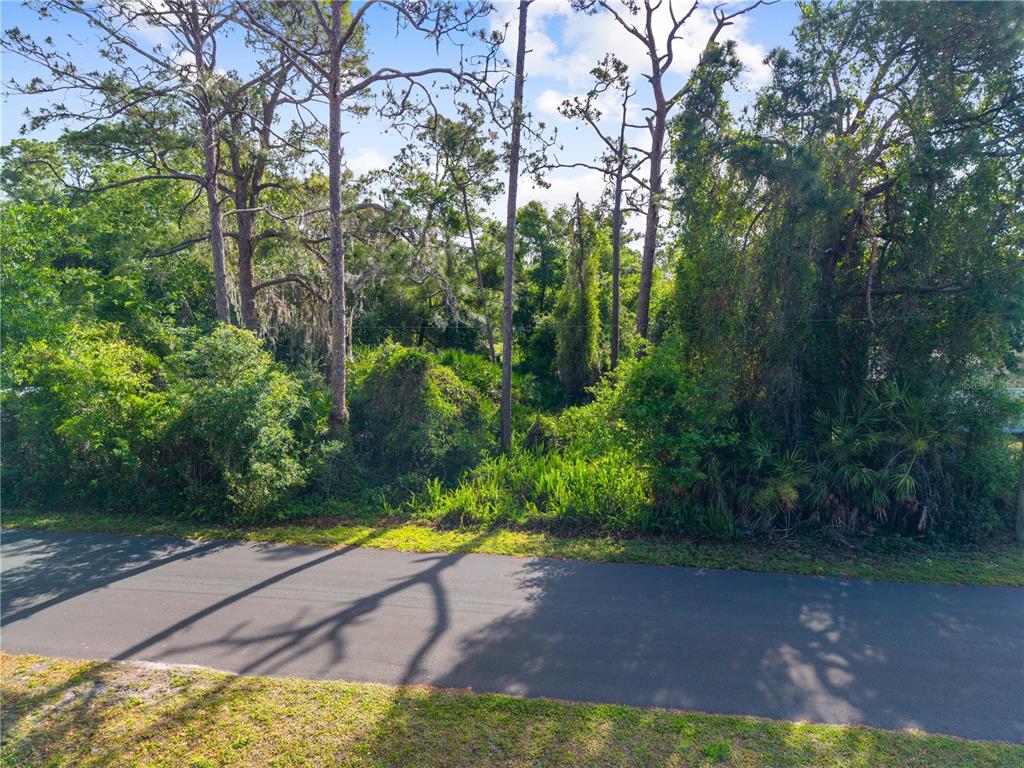 BURTON DR, ST CLOUD, FL — photo 4 of 12