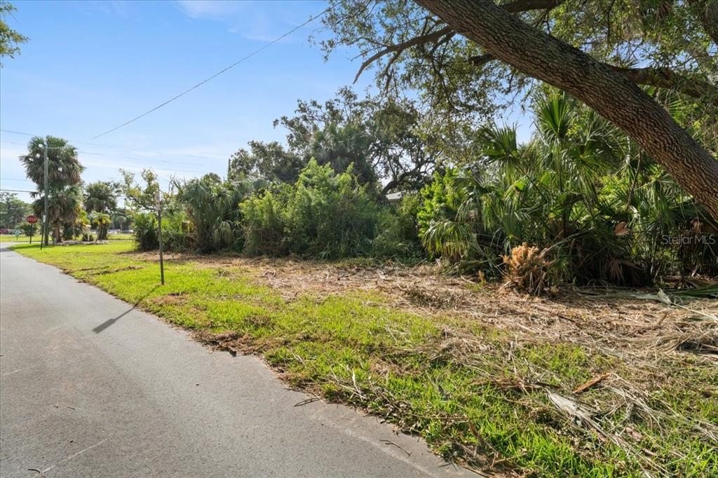 A vacant, partially cleared grassy lot is bordered by a paved road and dense vegetation — PIER ROAD, NEW PORT RICHEY, FL