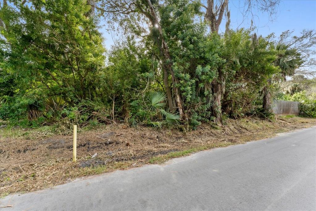 A vacant, wooded lot sits beside a paved road with a yellow survey marker — PIER ROAD, NEW PORT RICHEY, FL