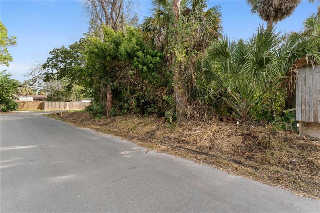 A paved road runs alongside a wooded lot with dense vegetation and palm trees — PIER ROAD, NEW PORT RICHEY, FL