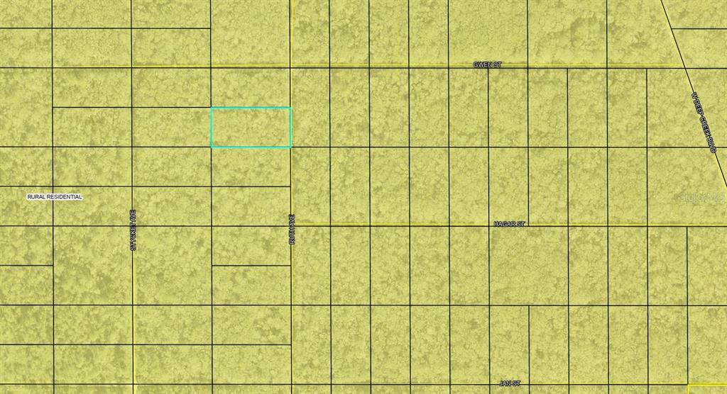 This is a map showing a highlighted parcel of land within a residential grid — XXX RUTH AVE. AVENUE, HASTINGS, FL