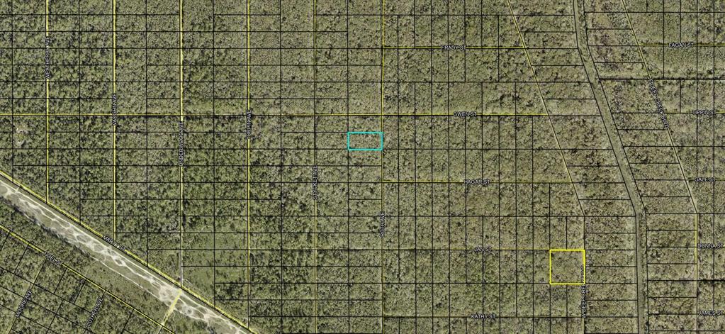 This is a satellite map showing two highlighted land parcels within a grid of streets — XXX RUTH AVE. AVENUE, HASTINGS, FL