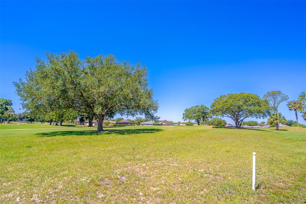 A large, grassy lot features several mature oak trees under a clear blue sky — 9288 SW 93RD CIRCLE, OCALA, FL