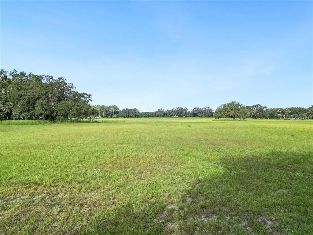 A wide, grassy field is surrounded by trees under a clear blue sky — 5780 CR 569, CENTER HILL, FL