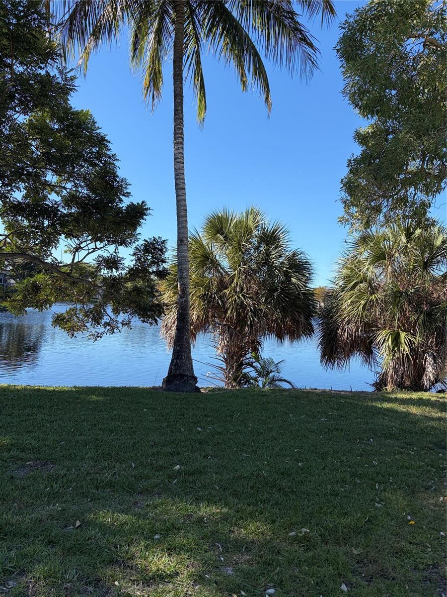 A tall palm tree stands on a grassy lawn overlooking a calm lake — 21 Jacaranda Drive # 121, Plantation FL 33324, PLANTATION, FL