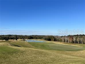 A view of a golf course green with a pond and trees in the background — 16047 VETTA DRIVE, MONTVERDE, FL