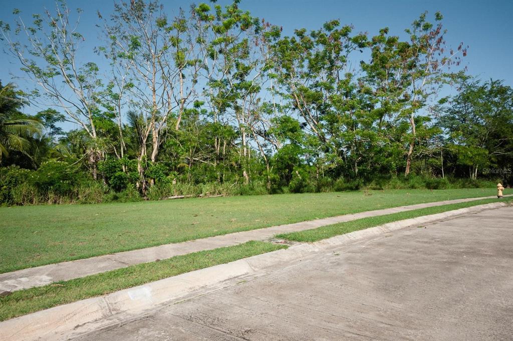 A vacant, grassy residential lot sits next to a paved street and sidewalk — VEREDAS DEL MAR, CABO ROJO, PR