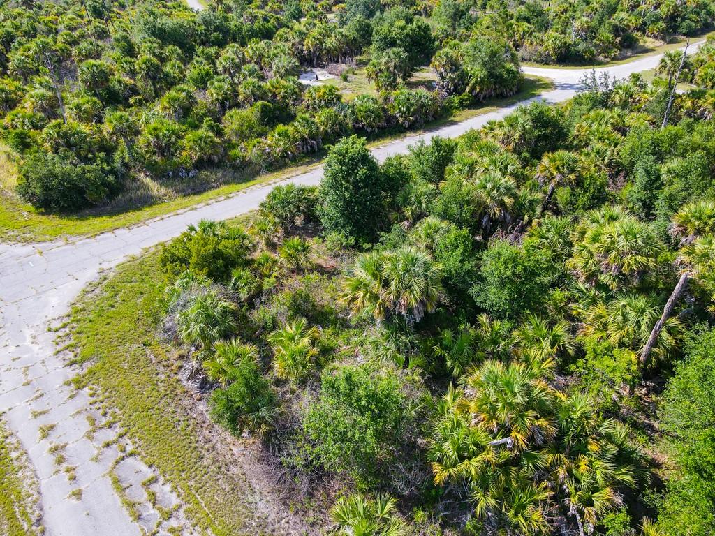 An aerial view shows a vacant, wooded lot bordered by paved roads — FIREBIRD ROAD, NORTH PORT, FL