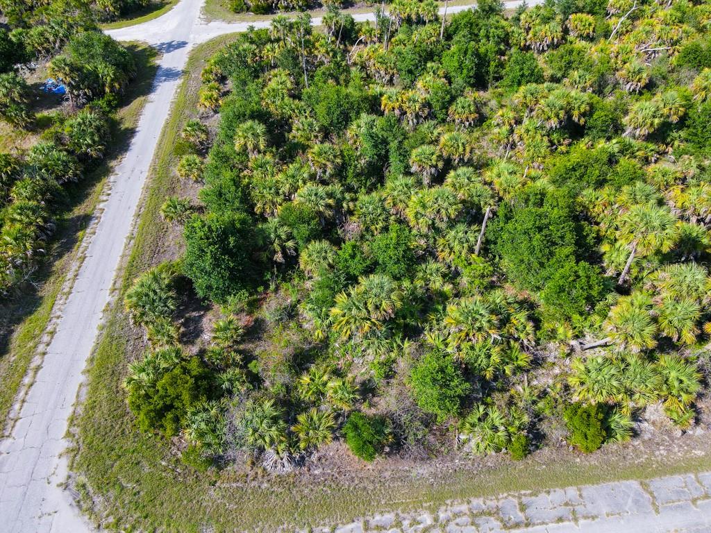 An aerial view of a vacant, wooded lot bordered by two paved roads — FIREBIRD ROAD, NORTH PORT, FL