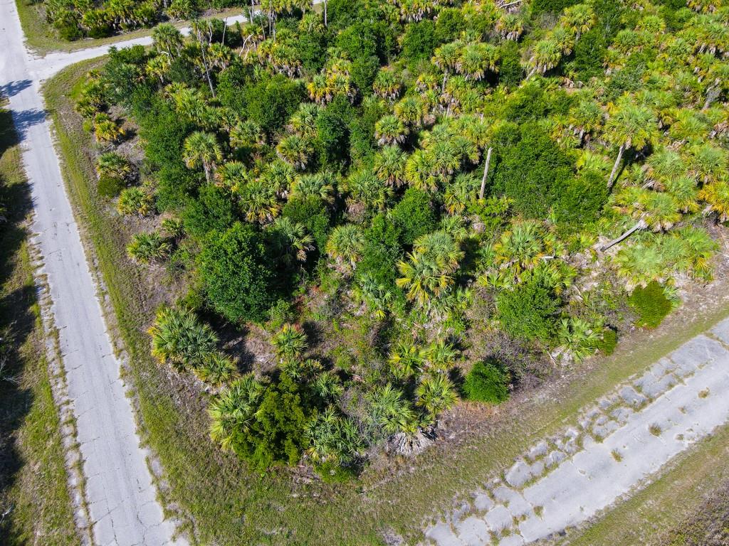 An aerial view shows a vacant, wooded lot situated at the corner of two paved roads — FIREBIRD ROAD, NORTH PORT, FL
