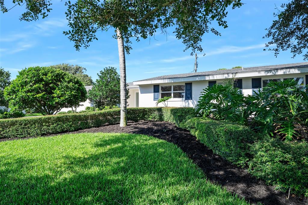 A white single-story house features a manicured hedge, dark mulch, and a large palm tree — 240 OAK DRIVE, ORMOND BEACH, FL