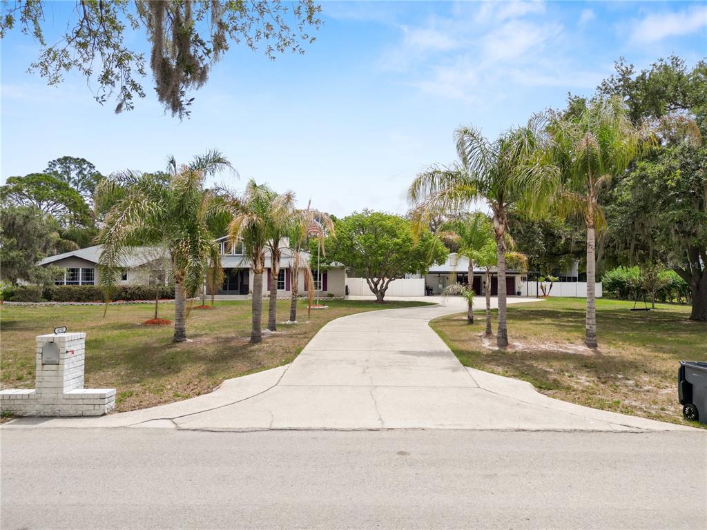 A long concrete driveway leads to a single-story house surrounded by palm trees and grass — 6230 FORESTWOOD DRIVE W, LAKELAND, FL