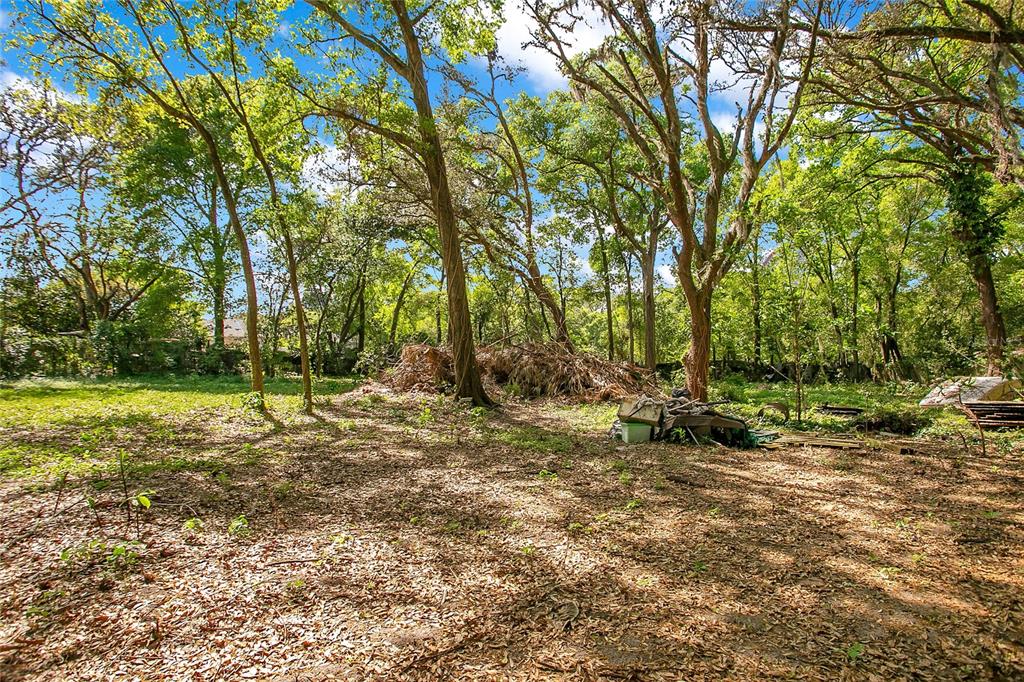 A wooded lot with scattered debris and fallen branches under a bright blue sky — 1120 SHEELER AVENUE, APOPKA, FL
