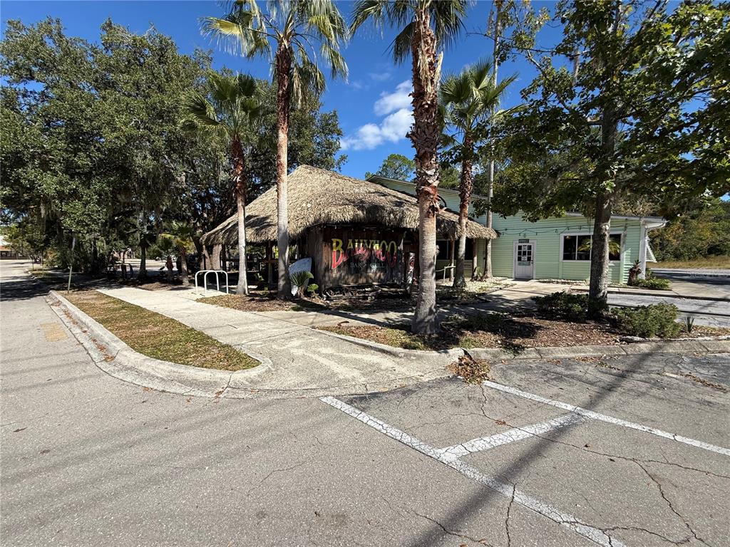 A thatched-roof tiki bar stands next to a light green building with palm trees — 1034 NW 57TH STREET, GAINESVILLE, FL