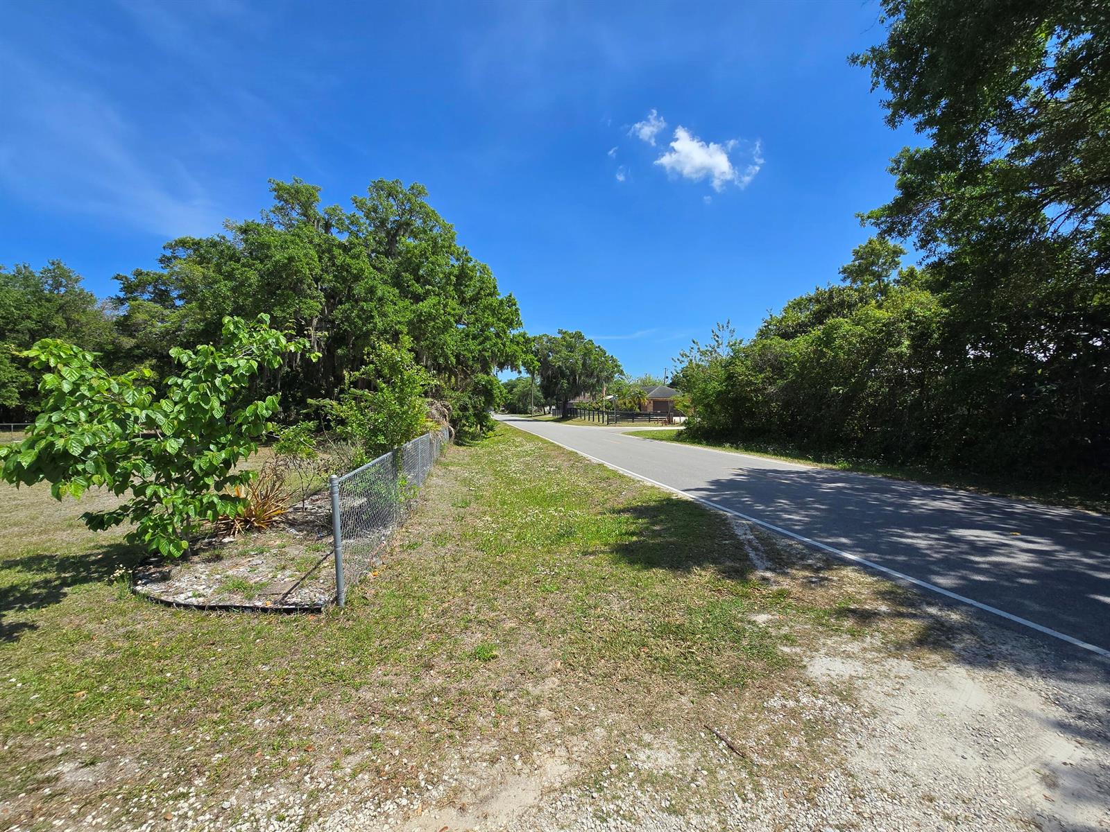 A paved road stretches past a chain-link fence and lush trees under a blue sky — 144 N Elm Street, Fellsmere FL 32948, FELLSMERE, FL