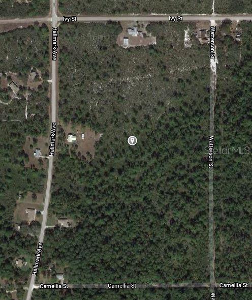 This is an aerial map view of a wooded, undeveloped rectangular lot between two streets — 1411 CALADIUM STREET, LAKE PLACID, FL
