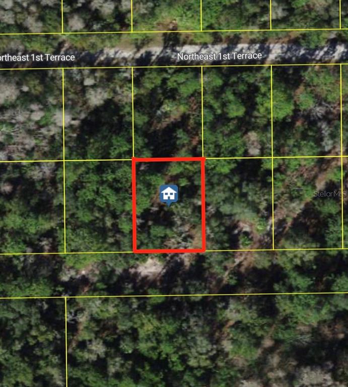 An aerial map view shows a rectangular plot of land outlined in red — 1243 SE 1ST STREET, CRYSTAL RIVER, FL