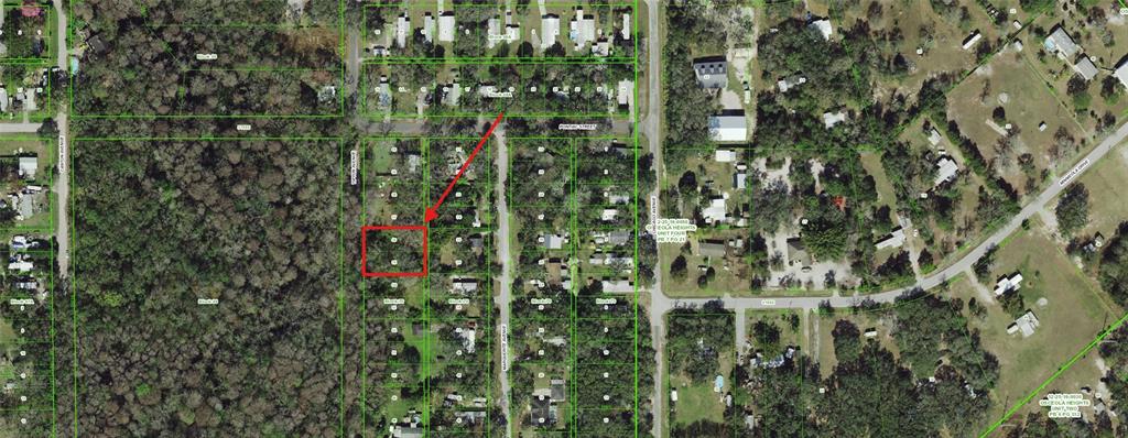 An aerial map shows a rectangular property lot highlighted in red within a wooded neighborhood — 55 MARQUERITE AVENUE, NEW PORT RICHEY, FL