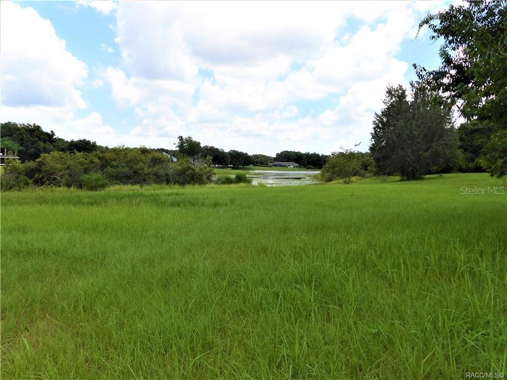 A grassy field leads to a small pond surrounded by trees and distant houses — 9546 E BAYMEADOWS DRIVE, INVERNESS, FL