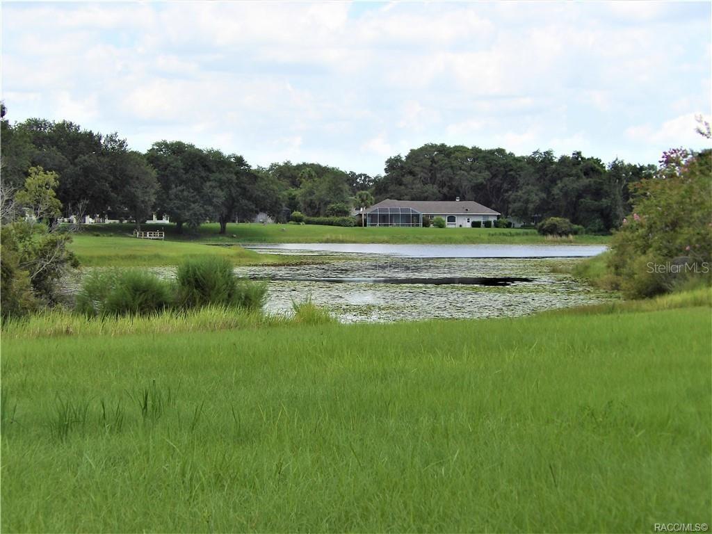 A grassy field overlooks a pond with a house in the background — 9546 E BAYMEADOWS DRIVE, INVERNESS, FL